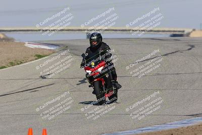 media/Feb-10-2023-TrackDaz (Fri) [[827c11d241]]/C Group/1245pm (Outside Grapevine)/